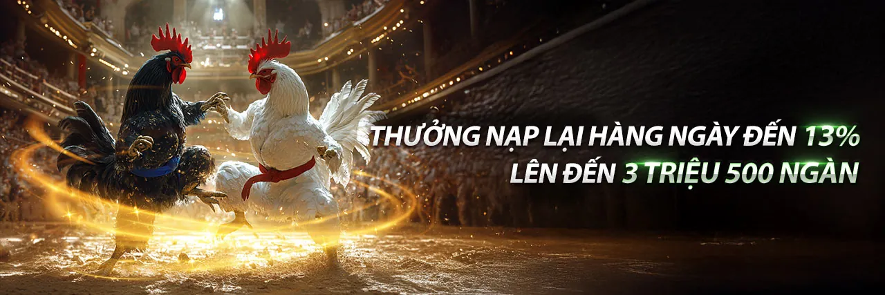 Đá gà 79.com - Đấu trường gà kịch tính